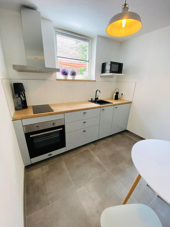 Apartment Regener Lörrach Eksteriør billede