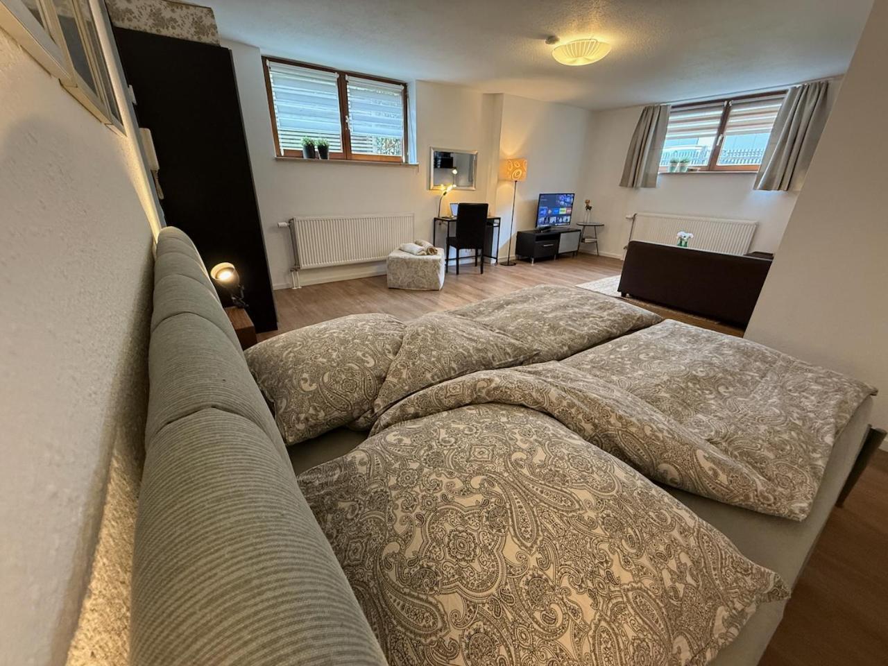 Apartment Regener Lörrach Eksteriør billede